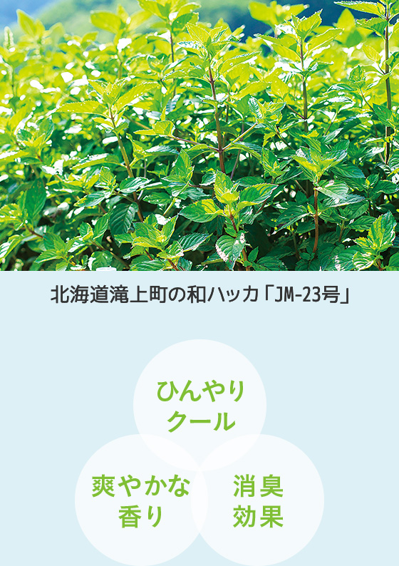 爽やかすべすべ整肌へ