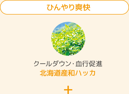 ひんやり爽快