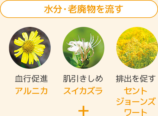水分・老廃物を流す