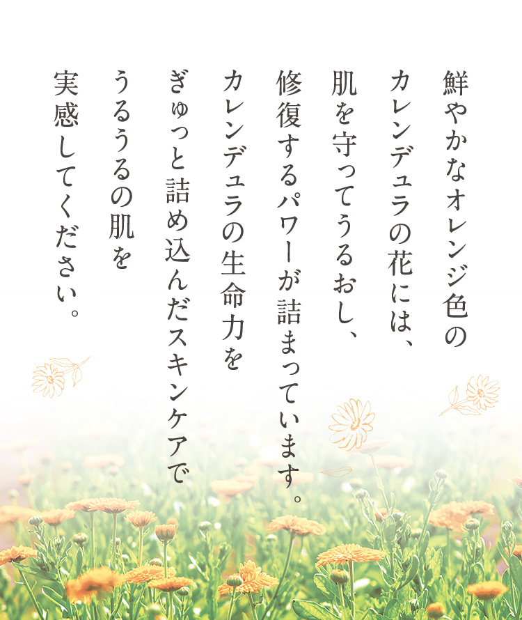 鮮やかなオレンジ色のカレンデュラの花には、肌を守ってうるおし、修復するパワーが詰まっています。カレンデュラの生命力をぎゅっと詰め込んだスキンケアでうるうるの肌を実感してください。