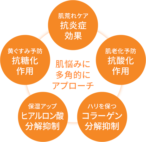 肌悩みに多角的にアプローチ