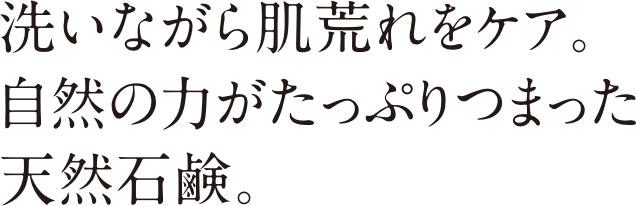 洗いながら肌荒れをケア。自然の力がたっぷりつまった天然石鹸。