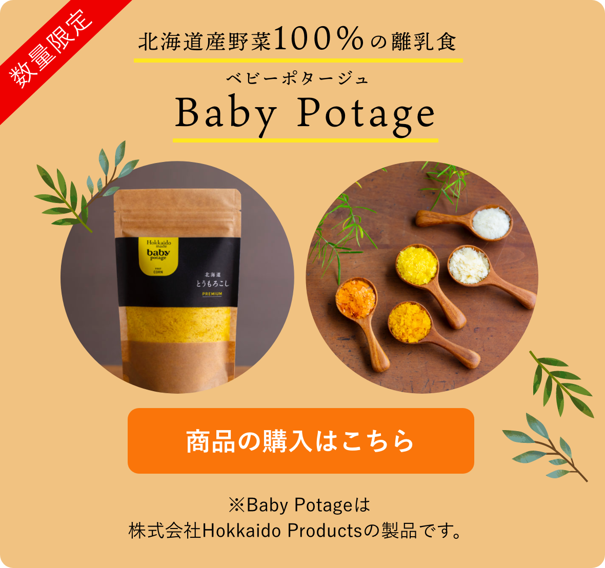 即納最大半額 Baby Potage 送料無料 ギフトボックス入り 瓶 50g×3個