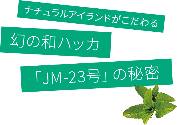 ナチュラルアイランドがこだわる幻の和ハッカ「JM-23号」の秘密