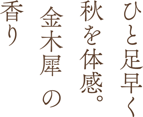 ひと足早く秋を体感。金木犀の香り