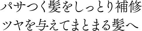 パサつく髪をしっとり補修ツヤを与えてまとまる髪へ