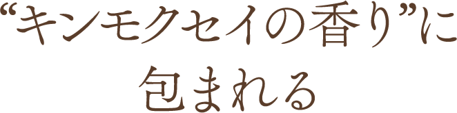 キンモクセイの香りに包まれる