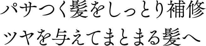 パサつく髪をしっとり補修ツヤを与えてまとまる髪へ