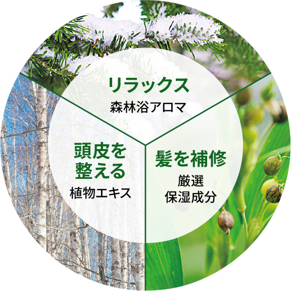 頭皮や髪のストレスに3方向からアプローチ