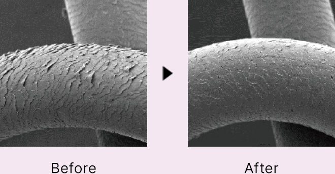 キューティクル状態を示した毛髪表面の電子顕微鏡画像