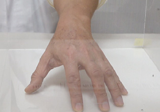 森の肌守り。UVミストを塗布した手には虫が寄ってきていません