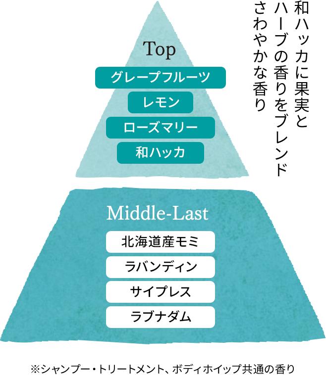 和ハッカのすっきりシリーズの香りのピラミッド。和ハッカに果実とハーブをブレンドした爽やかな香りから、徐々に落ち着いた香りへと変化します。シャンプー、トリートメント、ボディホイップ共通の香りです。