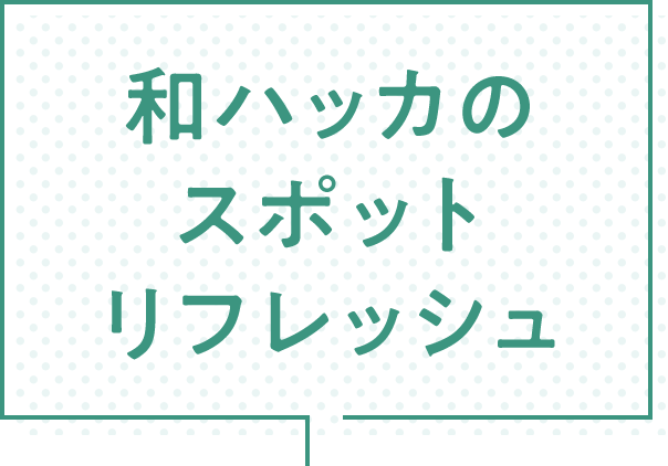 和ハッカのスポットリフレッシュ