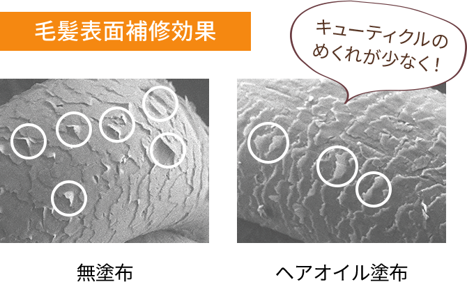キューティクルが整ったなめらかな髪の画像。ドライヤーなどの熱でキューティクルを補修し、うるおいを閉じ込めます。