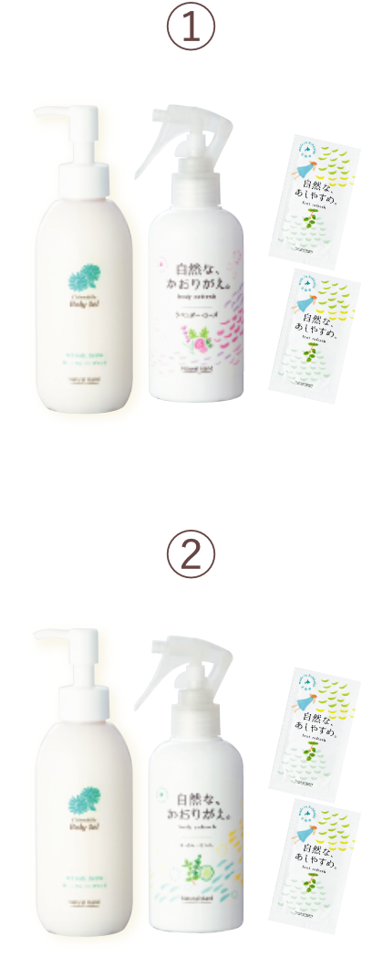 雪と白樺。2本セット