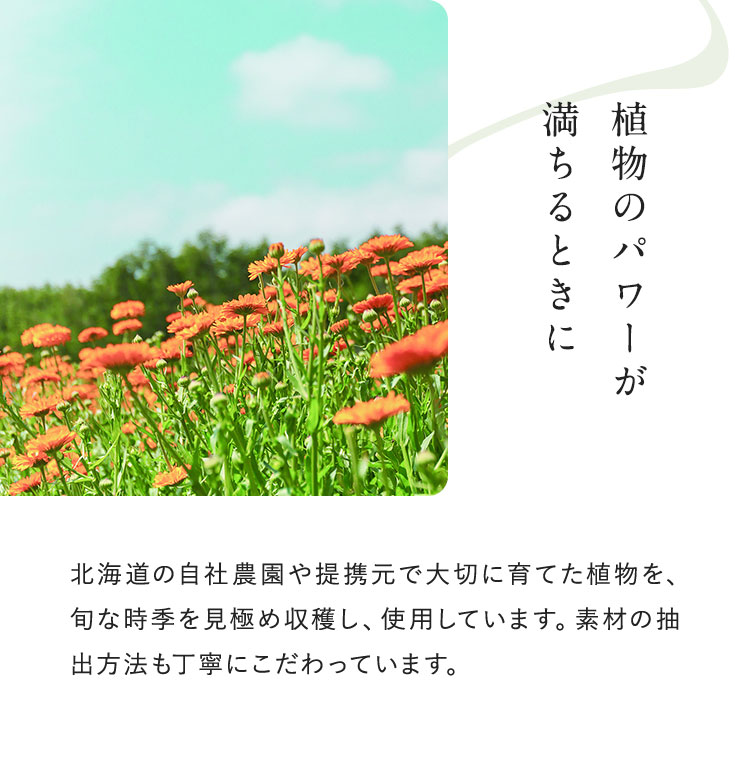 植物のパワーが 満ちるときに