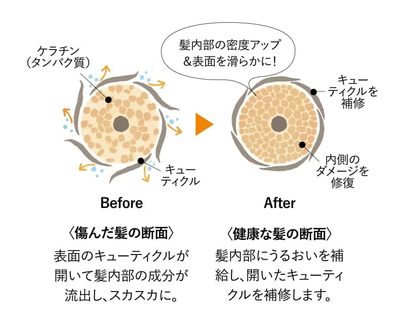 カレンデュラのいたわりシャンプー 詰め替え用｜ナチュラルアイランド