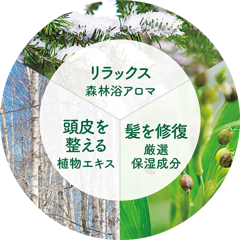 モミと白樺のやすらぎシャンプー 詰め替え用｜ナチュラルアイランド