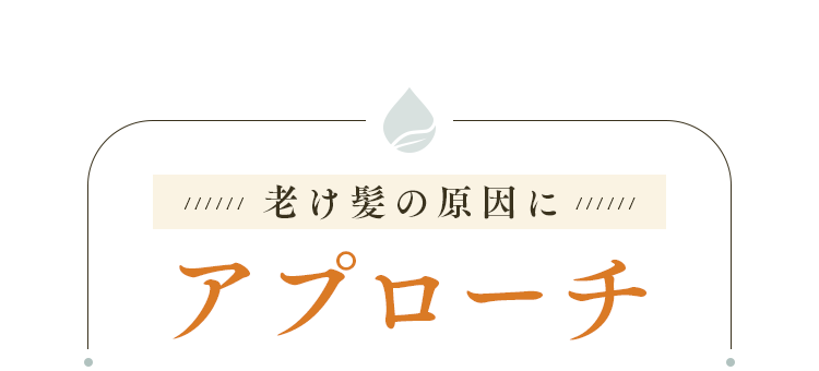 アプローチ