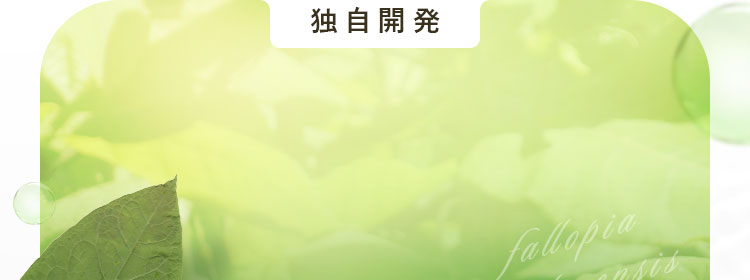 独自開発