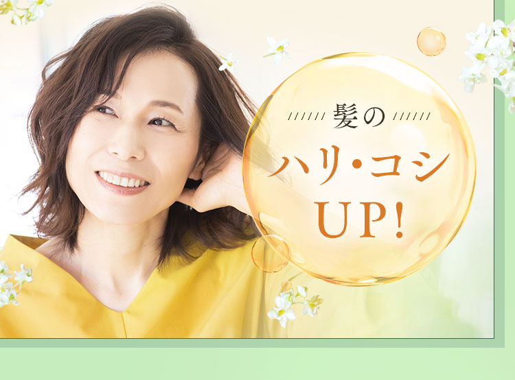 髪のハリ・コシUP!