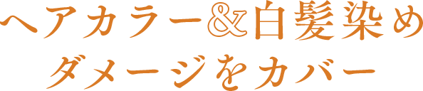 ヘアカラー白髪染めダメージをカバー