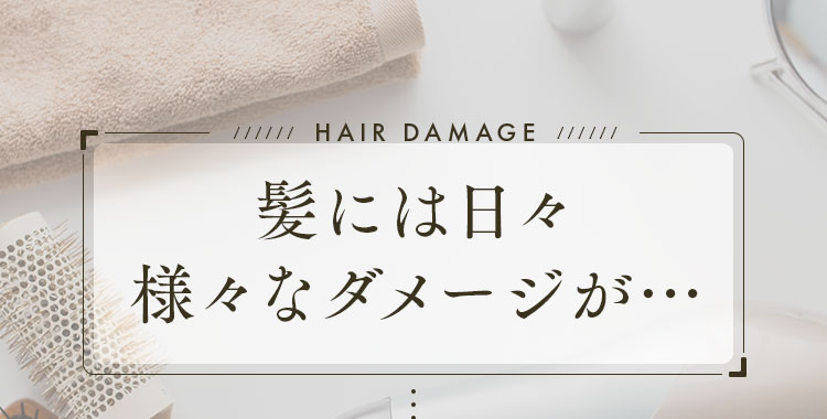髪には日々様々なダメージが…