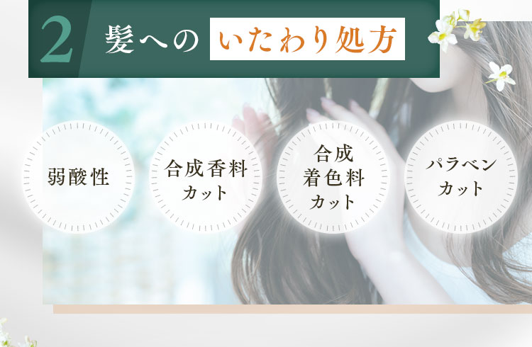 髪への いたわり処方