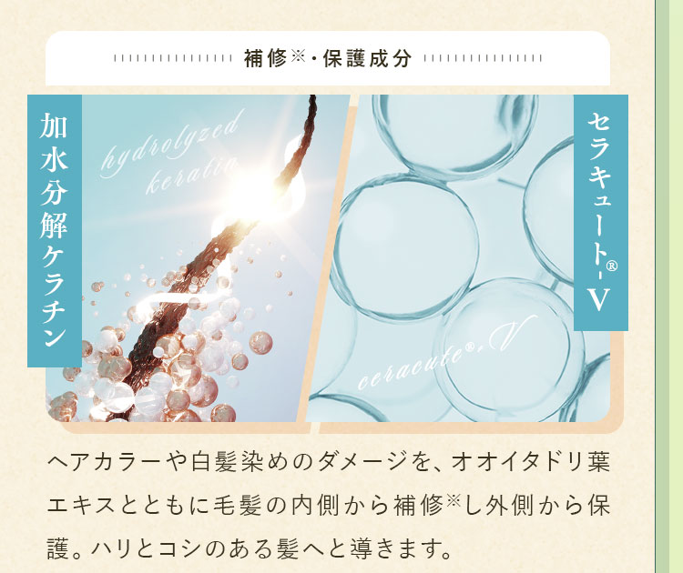 補修※・保護成分