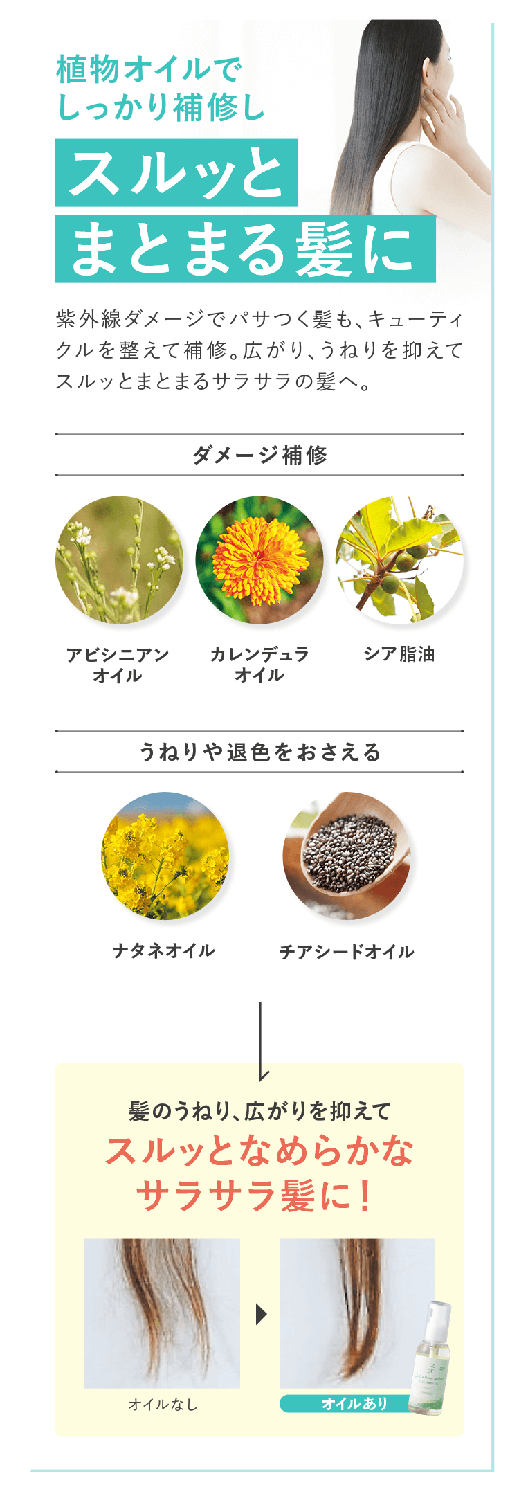 植物オイルでしっかり補修しスルッとまとまる髪に