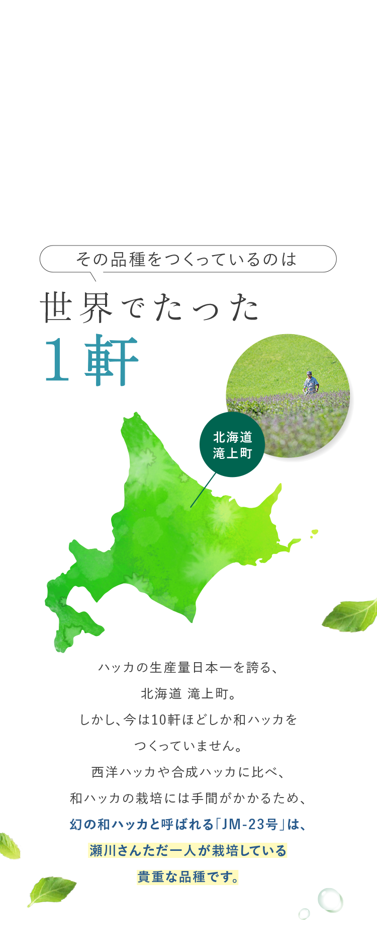 その品種をつくっているのは世界でたった1軒
