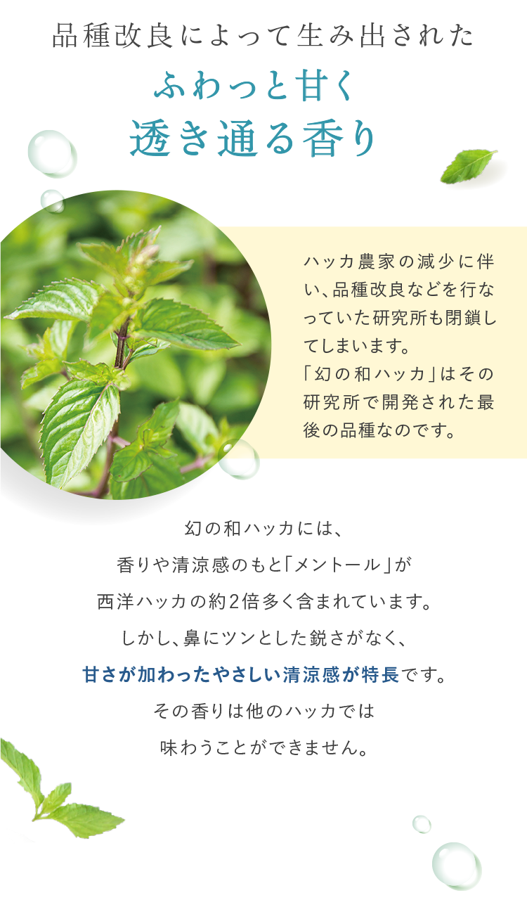 品種改良によって生み出されたふわっと甘く透き通る香り