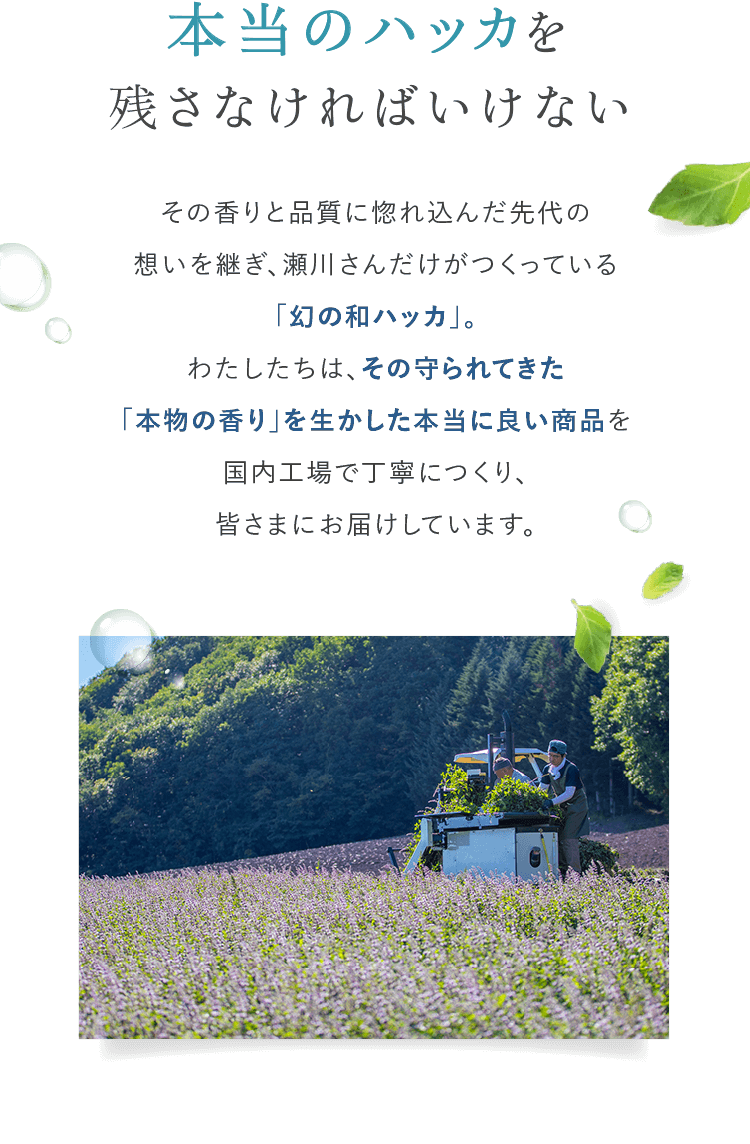 本当のハッカを残さなければいけない