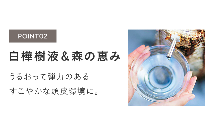 POINT02 白樺樹液＆森の恵み うるおって弾力のあるすこやかな頭皮環境に。