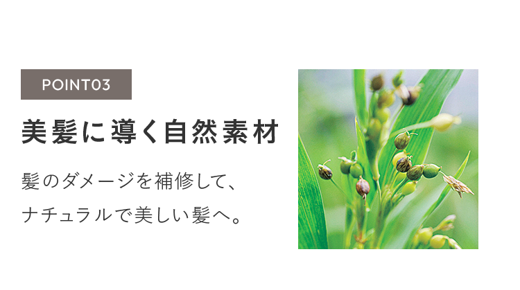 POINT03 美髪に導く自然素材 髪のダメージを補修して、ナチュラルで美しい髪へ。