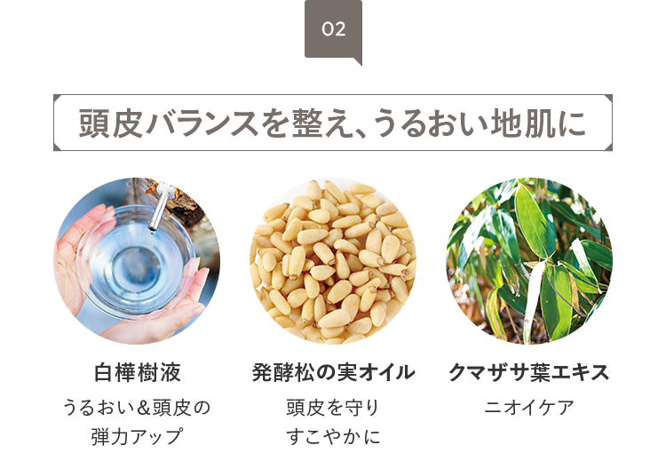 02 頭皮バランスを整え、うるおい地肌に