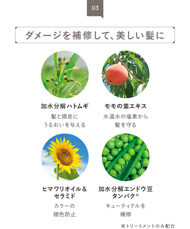 03 ダメージを補修して、美しい髪に