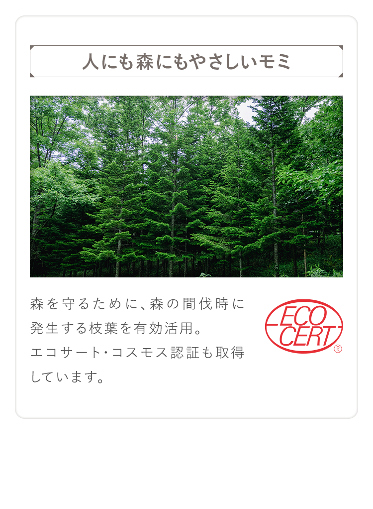 人にも森にもやさしいモミ