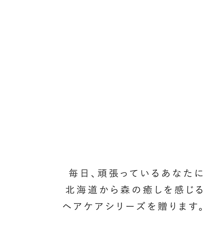 毎日、頑張っているあなたに北海道から森の癒しを感じるヘアケアシリーズを贈ります。