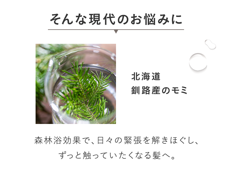 そんな現代のお悩みに 北海道 釧路産のモミ