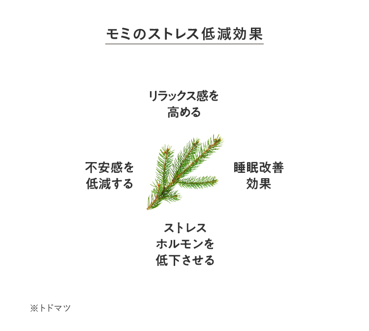 モミのストレス低減効果 リラックス感を高める 不安感を低減する 睡眠改善効果 ストレスホルモンを低下させる