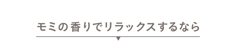 モミの香りでリラックスするなら