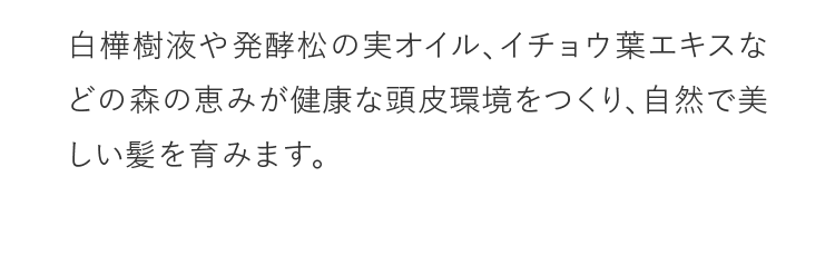 白樺樹液や発酵松の実オイル、イチョウ葉エキスなどの森の恵みが健康な頭皮環境をつくり、自然で美しい髪を育みます。