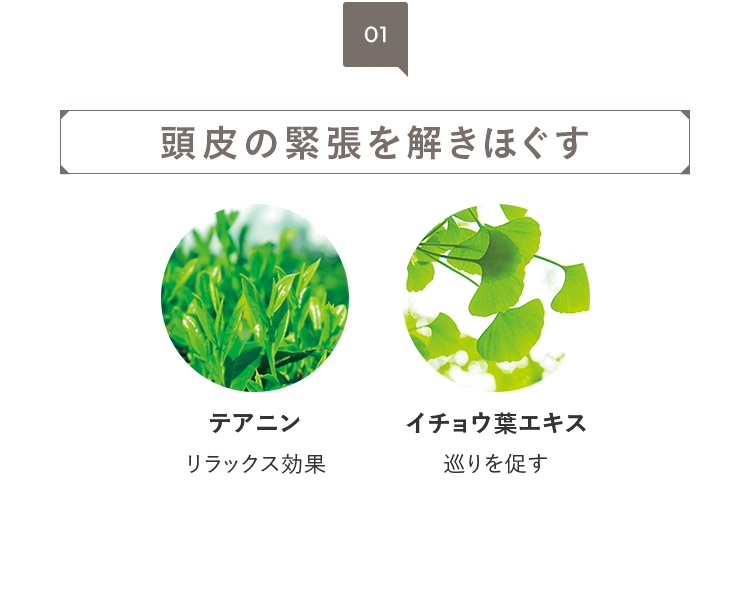 01 頭皮の緊張を解きほぐす