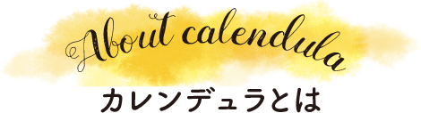 カレンデュラとは