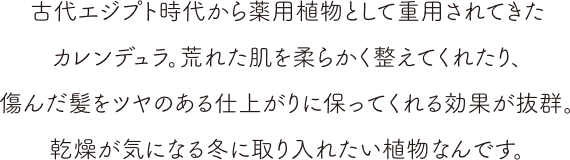 古代エジプト時代から薬用植物として重用されてきたカレンデュラ。荒れた肌を柔らかく整えてくれたり、傷んだ髪をツヤのある仕上がりに保ってくれる効果が抜群。乾燥が気になる冬に取り入れたい植物なんです。