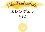カレンデュラとは